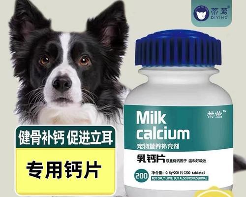 狗狗补钙食物大全（为宠物狗提供均衡营养，助其健康成长）