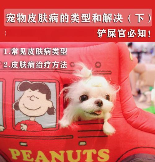 猫异位性皮炎的治疗时长及方法（猫异位性皮炎的治疗进展和关键考虑因素）