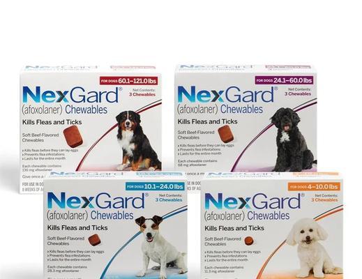 狗崽吃打虫药的频率及注意事项（狗崽多久吃一次打虫药？）