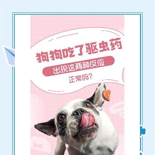 狗崽打虫药使用频率与注意事项｜养犬必备指南