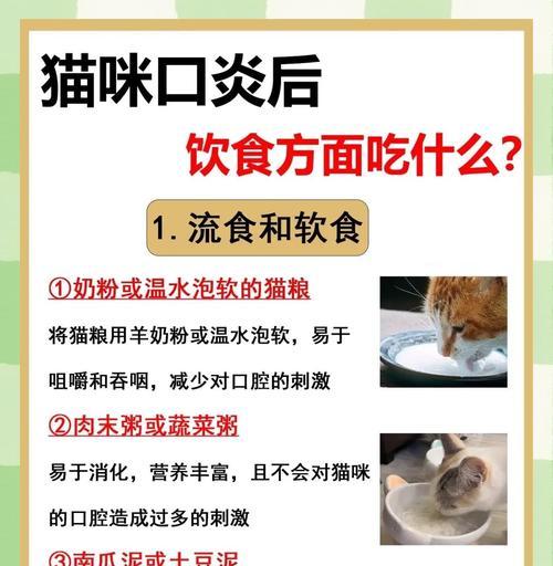 猫粮泡软的时间究竟有多久？（影响猫粮泡软时间的关键因素及正确的泡软方式）