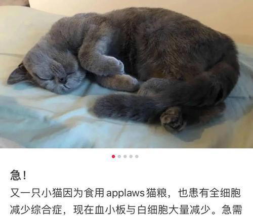 急救猫咪中毒，三步拯救猫命（熟悉猫咪中毒的症状，做好紧急救援）