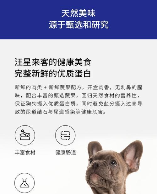 柯基挑食能坚持多久？（探索柯基独特的体能和毅力，揭示它们的持久之道）