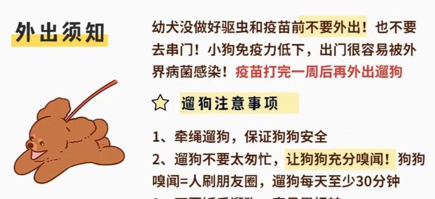 幼犬带回家后多久打驱虫合适？（宠物犬打驱虫时间表与方法解析）