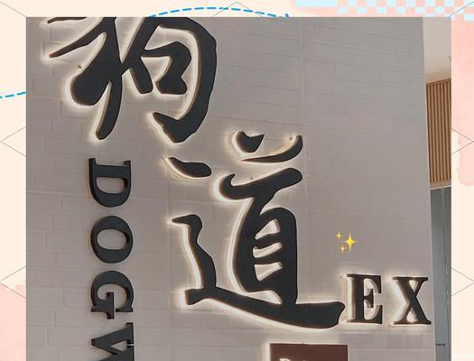 哪些超市允许带狗狗进店购物全攻略