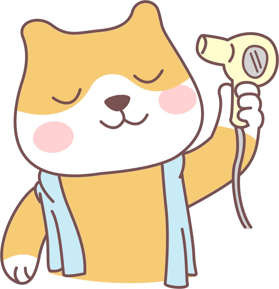 猫咪吹风机脱敏训练