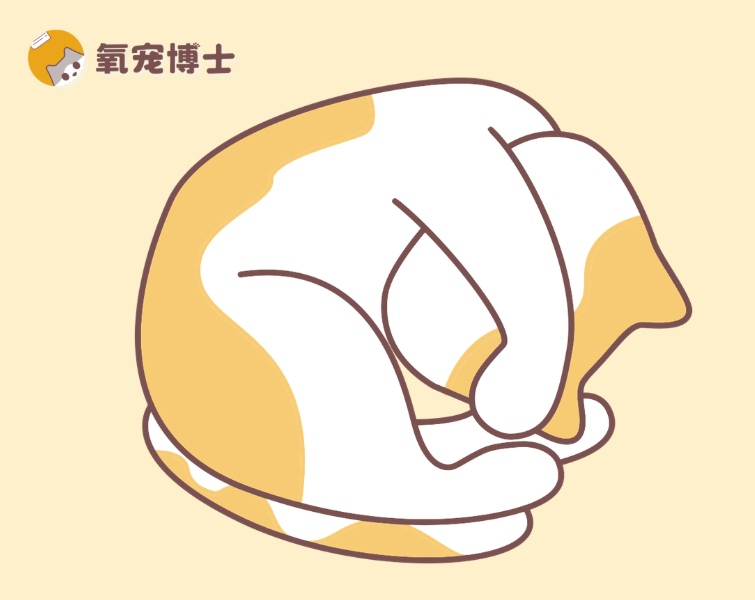 猫咪分离焦虑症