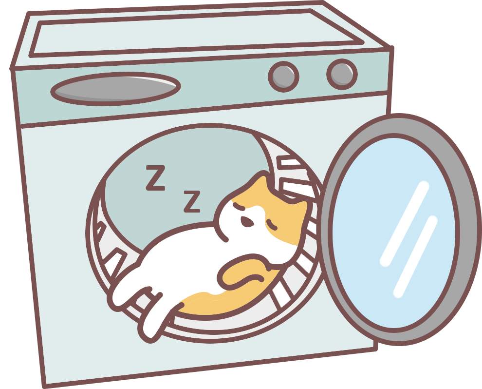 路上捡的小猫带回家怎么办