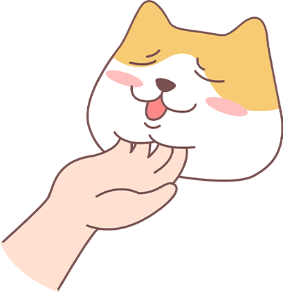 流浪小猫带回家怎么处理