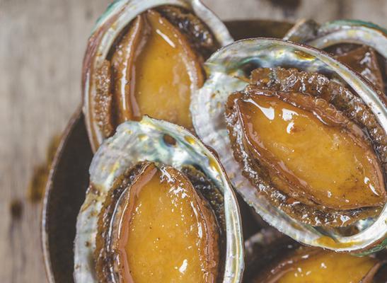 以萨沙胶囊的疗效持续多久？（探讨以萨沙胶囊的持续效果及关键因素）