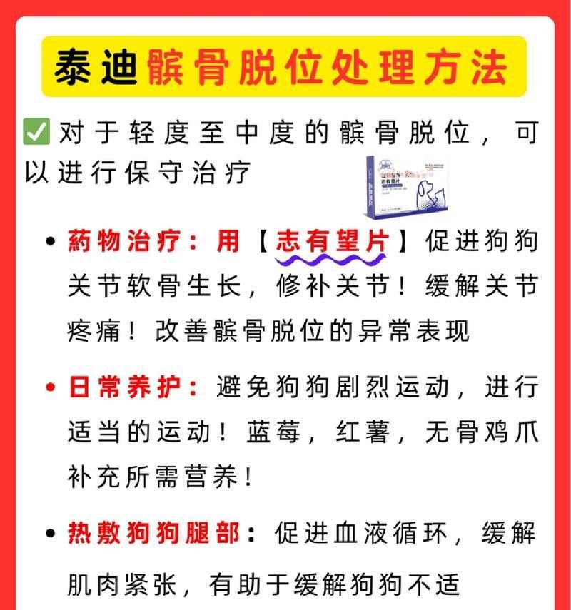 泰迪髌骨脱位影响寿命及预防全攻略