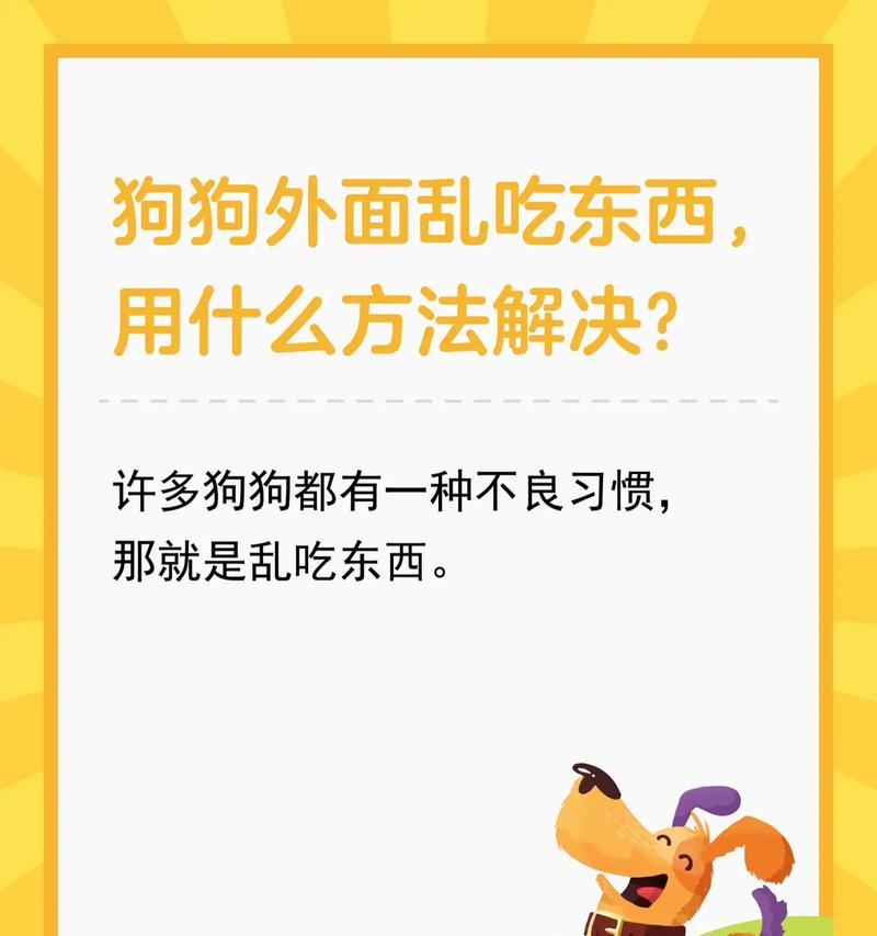如何改正狗狗乱吃东西的坏习惯？（控制食欲培养良好的饮食习惯）