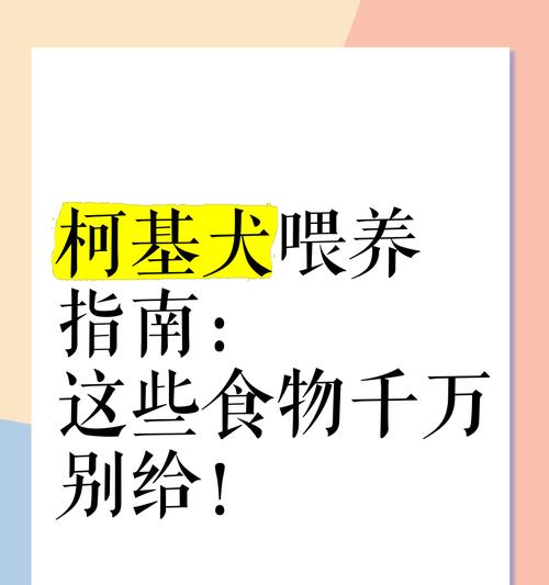 如何改正狗狗乱吃东西的坏习惯？（控制食欲培养良好的饮食习惯）