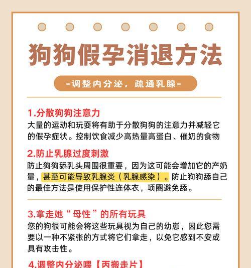 狗狗怀孕多久肚子涨？（揭开狗狗怀孕肚子涨的奥秘）