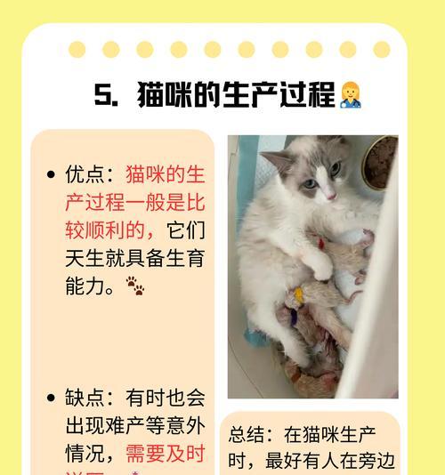 解决新出生猫咪怕生问题的方法（教你如何帮助小猫克服害羞和恐惧）