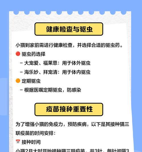 解决新出生猫咪怕生问题的方法（教你如何帮助小猫克服害羞和恐惧）