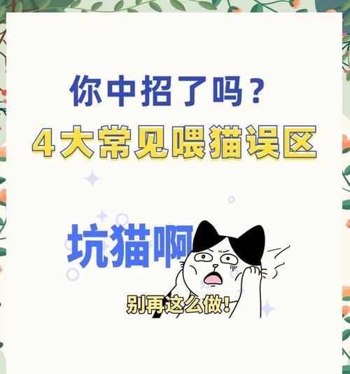 如何合理安排猫咪的饮食时间和频率（三个月大猫咪的科学喂养方法，让它健康成长）
