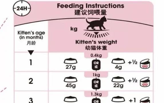 如何合理安排猫咪的饮食时间和频率（三个月大猫咪的科学喂养方法，让它健康成长）
