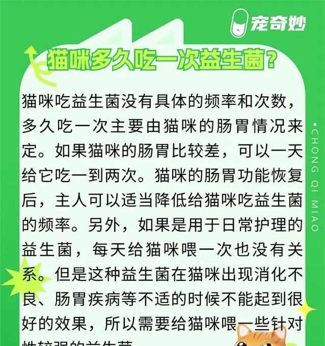 如何合理安排猫咪的饮食时间和频率（三个月大猫咪的科学喂养方法，让它健康成长）