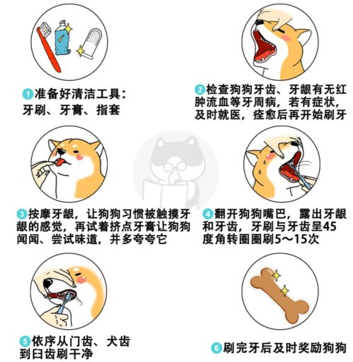 狗狗牙结石怎么去除？