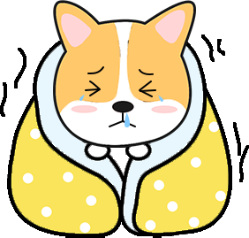 怎么判断狗狗冷不冷？