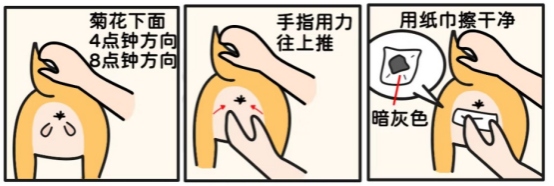 狗狗用屁股蹭着走