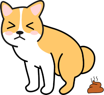 狗狗摩擦屁股的原因