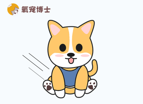 狗狗在地上摩擦屁屁