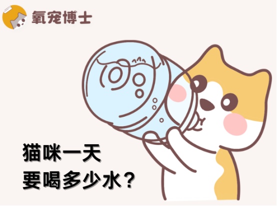 猫咪每日的饮水量标准