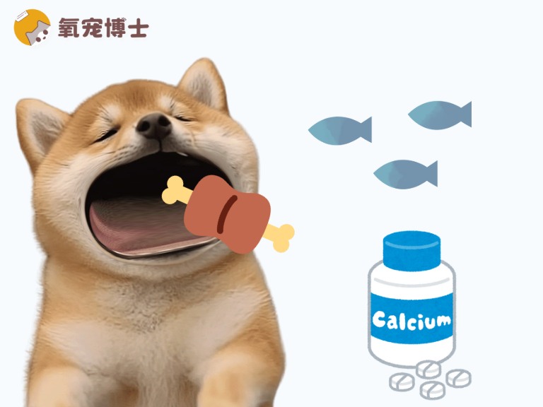 哪些狗狗需要注意补钙全攻略