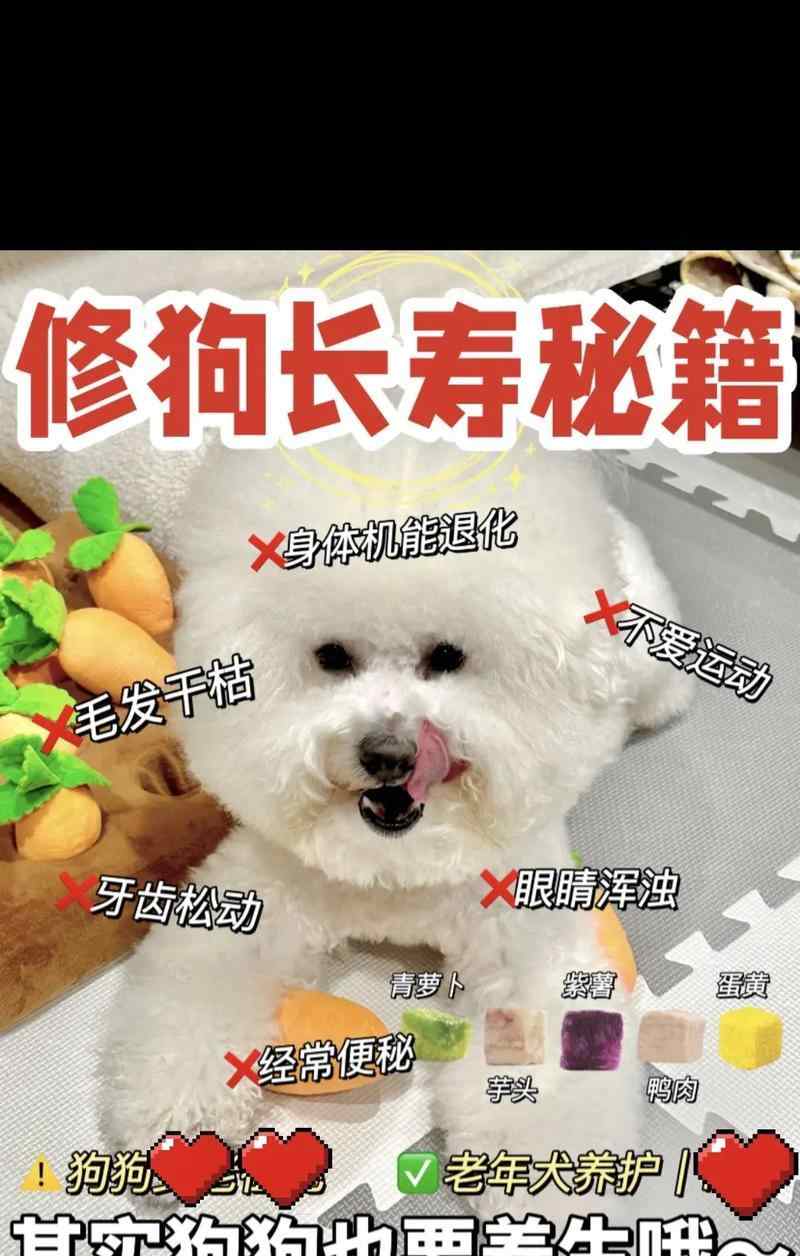 柯基犬便秘的原因以及解决办法（帮助你家的柯基犬摆脱便秘困扰）