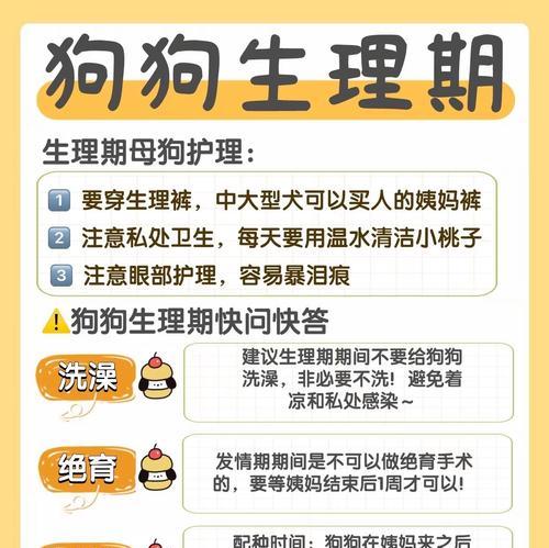 狗狗大姨妈周期全攻略