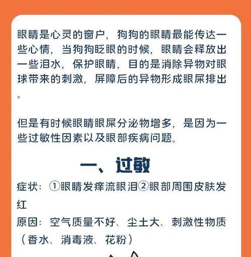 狗狗眼睛常见疾病及预防方法（了解你的狗狗眼睛的常见问题，提前预防疾病！）