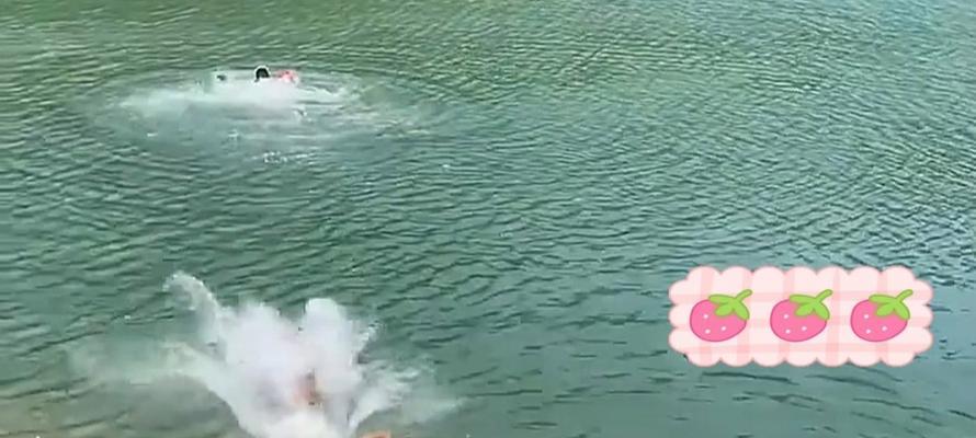 狗狗呛水后需要多长时间才能康复？