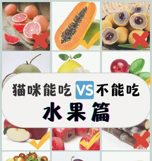 猫咪的饮食（探索猫咪可以吃的食物及其益处）