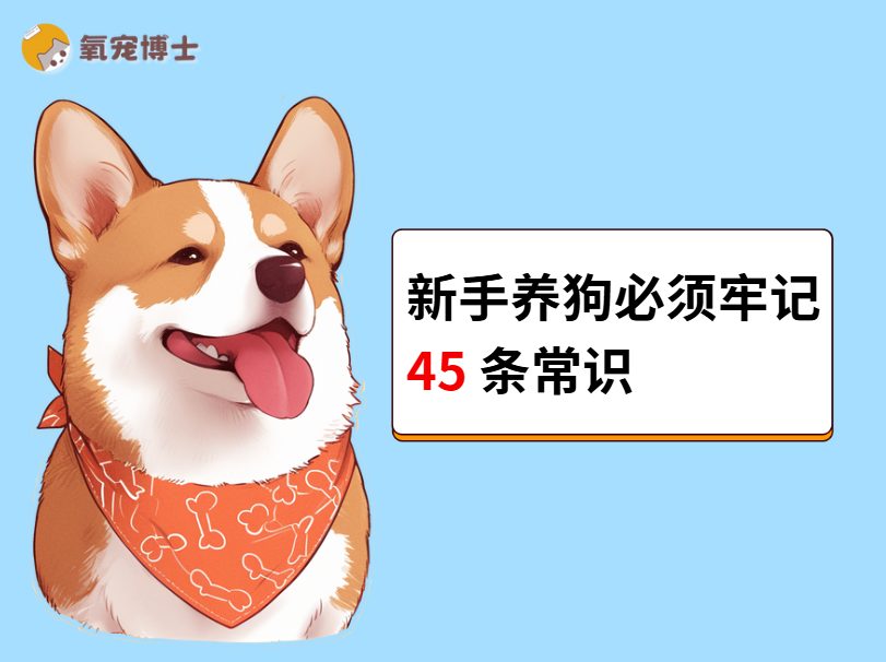 干货！新手养狗必须牢记的45条常识