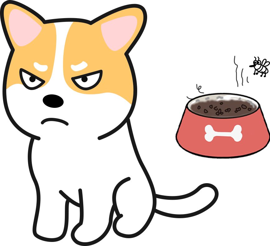 干货！新手养狗必须牢记的45条常识