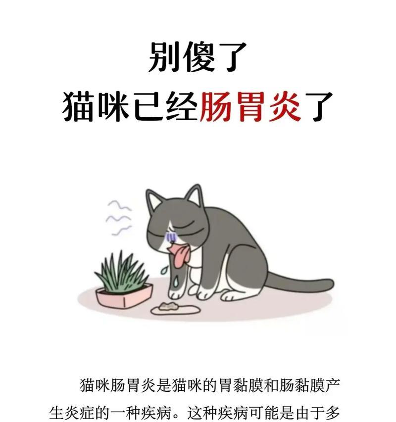 怀孕猫咪拉稀的原因及处理方法（观察猫咪精神状态，细心呵护怀孕宝贝）