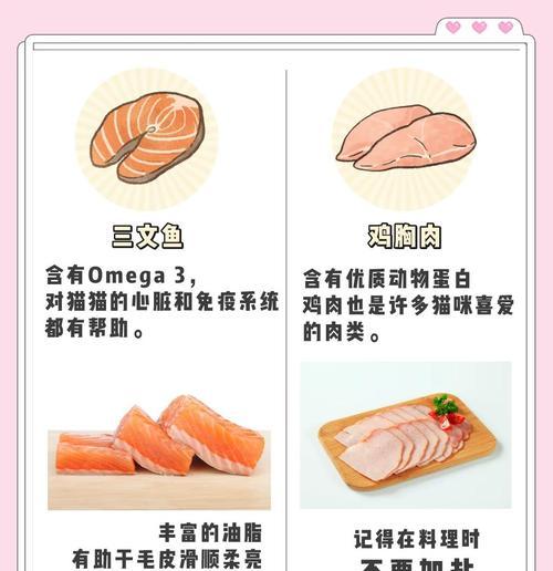 猫咪最爱美食全攻略