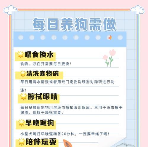 小牧羊犬何时开始喂狗粮？（了解适合小牧羊犬的饮食时间和方式）