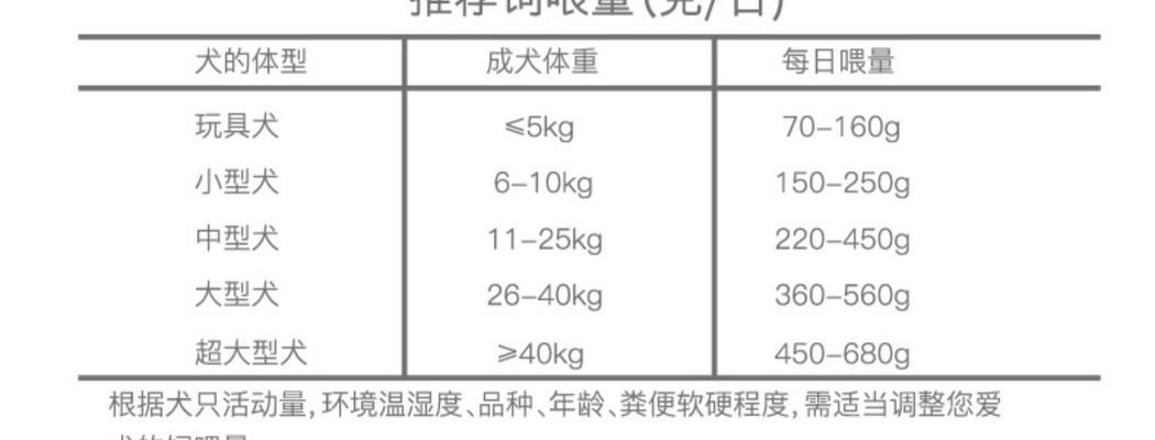小牧羊犬喂食时间与方式｜饮食管理全攻略