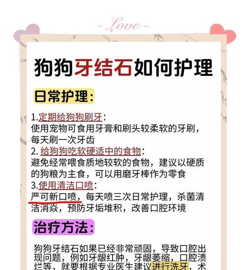 揭秘狗狗牙结石的成因及预防方法（3个坏习惯为牙结石的主要原因，如何有效预防？）