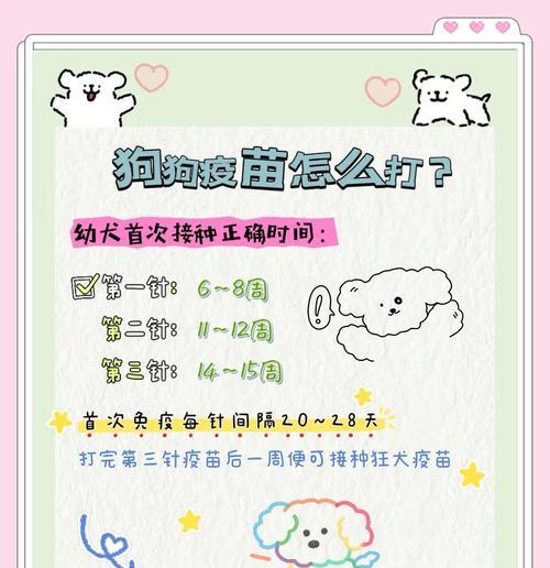 小狗育苗（了解小狗狗育苗的正确时间和方法，确保它们的健康成长）