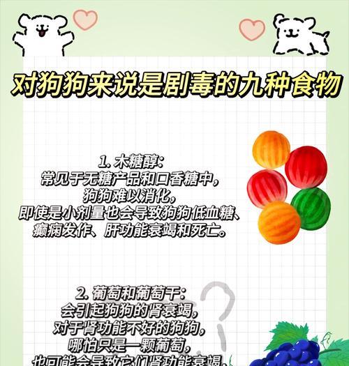 如何应对幼犬低血糖问题（预防和处理幼犬低血糖的关键措施）