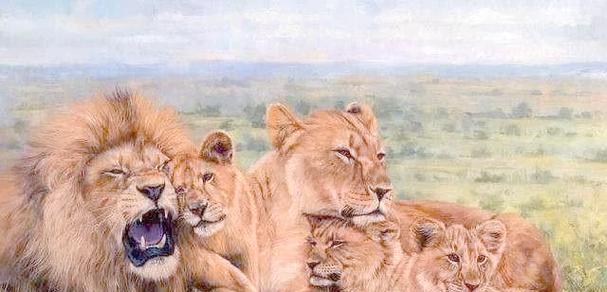 犀牛（揭秘犀牛身上的原因和优势）