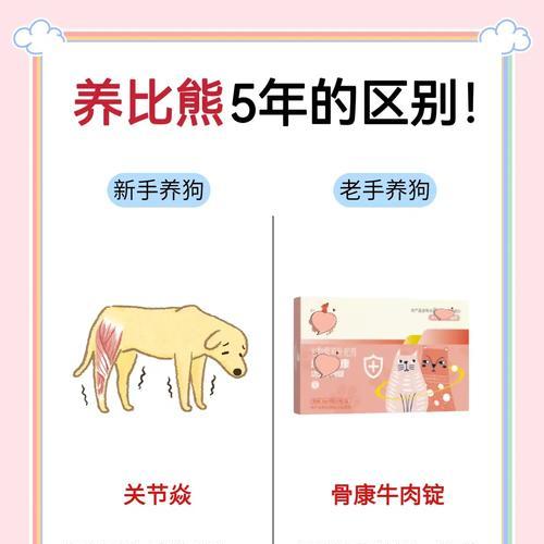 比熊毛剃后需要多久才会长出？（探索比熊毛剃后生长周期的奥秘）