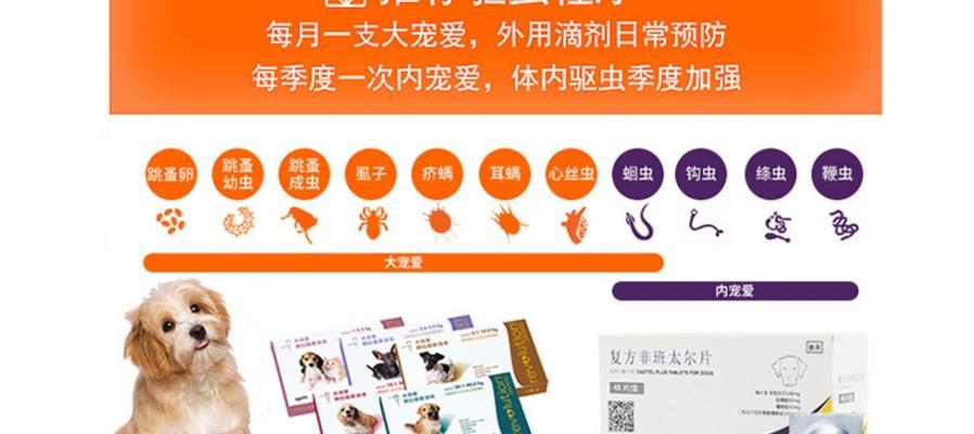 金毛驱虫全攻略｜周期与费用投入详解