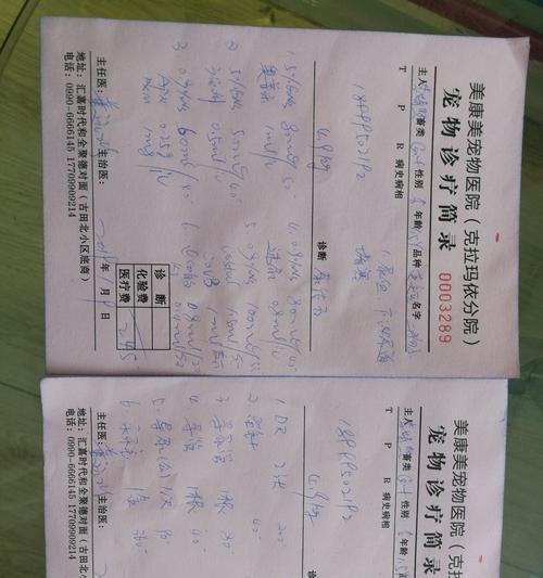 猫结石康复需要多久？（了解猫结石康复时间的关键因素。）