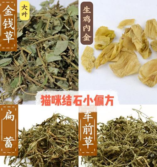 猫结石康复需要多久？（了解猫结石康复时间的关键因素。）