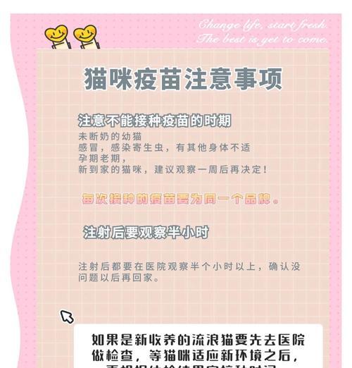 猫咪接种疫苗后多久可怀孕？（了解猫咪疫苗接种与怀孕之间的时间间隔）